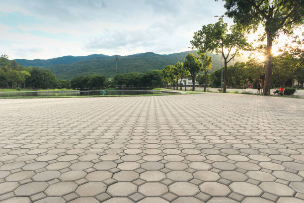 Best Residential Driveway Paver Services  in Winfield, KS
